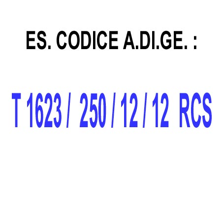 DIS-CODICE.jpg